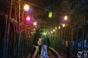 (10.18)“대나무숲 따라 걸어보는 가을밤의 담양” 담양군, 달빛 산책 참가자 모집.JPG
