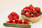 (1.11)담양 딸기, 몽골로 새해 첫 수출길 … 중앙아시아 진출 교두보 마련.jpg