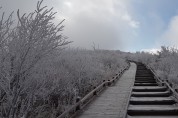 지리산국립공원 노고단에 상고대에 이어 올겨울 첫눈이
